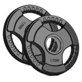 Plaque de poids olympique Tri-Grip – Fonte revêtue de caoutchouc noir, poignées Tri-Grip pour l'entraînement de musculation avec haltères et barres, salle de sport à domicile