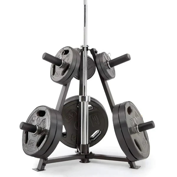 Rack vertical durable pour plaques de poids et haltères – Cadre en acier robuste, capacité de 300 kg, 6 pinces de sécurité incluses – Organisateur de gym à domicile peu encombrant